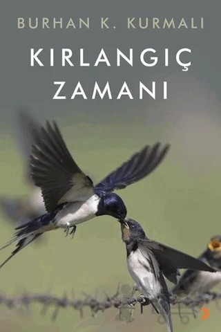 Kırlangıç Zamanı – Burhan K. Kurmalı – Cinius Yayınları kitap kapağı
