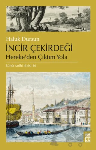 İncir Çekirdeği – Haluk Dursun – Timaş Tarih kitap kapağı