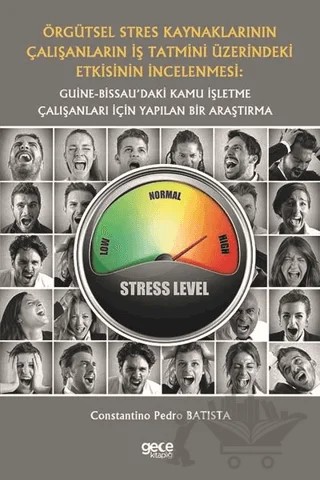 Örgütsel Stres Kaynaklarının Çalışanların İş Tatmini Üzerindeki Etkisinin İncelenmesi: Guine-Bissau’daki Kamu İşletme Çalışanları İçin Yapılan Bir Araştırma – Constantino Pedro Batista – Gece Kitaplığı kitap kapağı