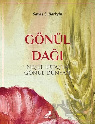 Gönül Dağı – Savaş Şafak Barkçin – Erdem Yayınları kitap kapağı