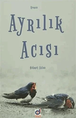 Ayrılık Acısı – Mehmet Aslan – Dua Yayınları kitap kapağı