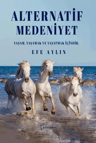 Alternatif Medeniyet – Efe Aylın – İkinci Adam Yayınları kitap kapağı