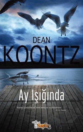 Ay Işığında – Dean Koontz – Sayfa6 Yayınları kitap kapağı