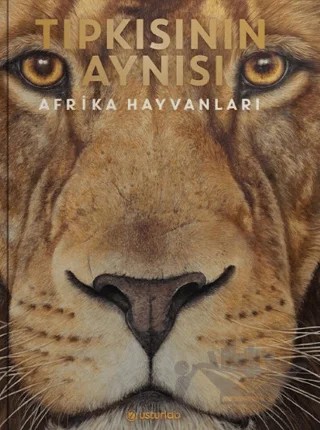 Tıpkısının Aynısı - Afrika Hayvanları – Holger Haag – Usturlab Kitap kitap kapağı