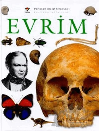 Evrim – Linda Gamlin – TÜBİTAK Yayınları kitap kapağı