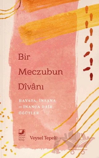 Bir Meczubun Divanı – Veysel Tepeli – Terapi Kitap kitap kapağı