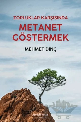 Metanet Göstermek – Mehmet Dinç – Muhit Kitap kitap kapağı