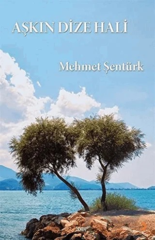 Aşkın Dize Hali – Mehmet Şentürk – Cinius Yayınları kitap kapağı