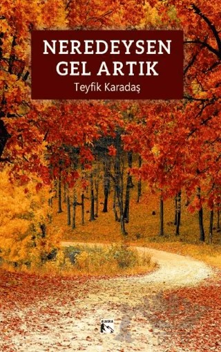 Neredeysen Gel Artık – Teyfik Karadaş – Alaska Yayınevi kitap kapağı