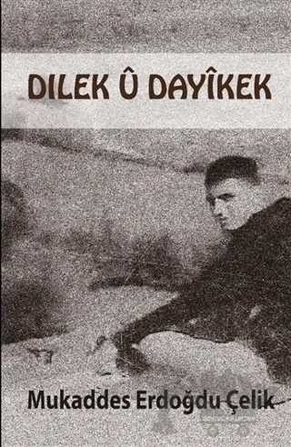 Dılek U Dayikek – Mukaddes Erdoğdu Çelik – J&J Yayınları kitap kapağı