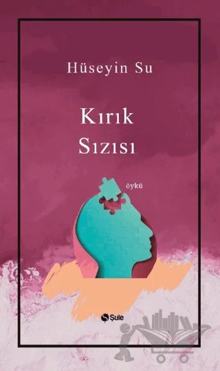 Kırık Sızısı – Hüseyin Su – Şule Yayınları kitap kapağı