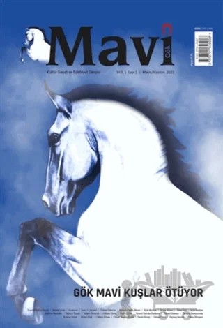 Mavi Gök Kültür Sanat Edebiyat Dergisi Sayı: 1 Mayıs - Haziran 2021 – Mavi Gök Dergisi Yayınları kitap kapağı