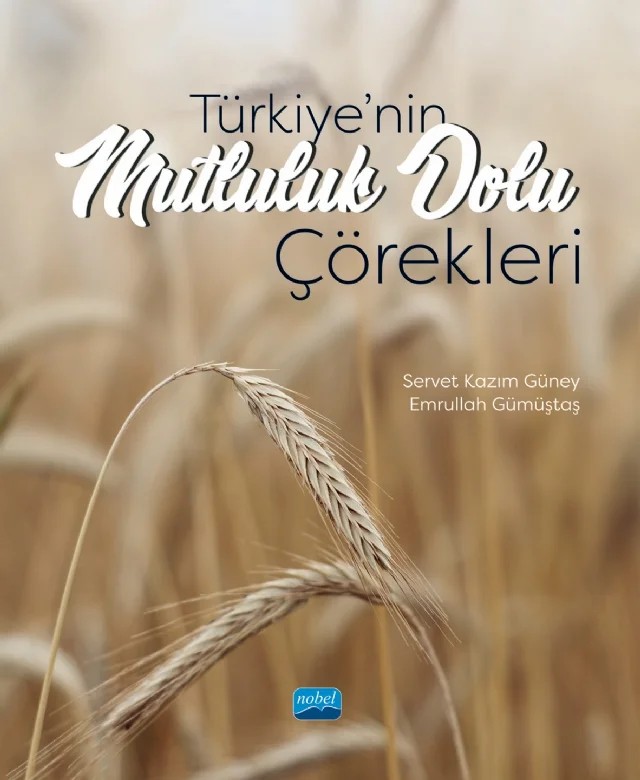 Türkiye’nin Mutluluk Dolu Çörekleri – Emrullah Gümüştaş, Servet Kazım Güney – Nobel Akademik Yayıncılık kitap kapağı