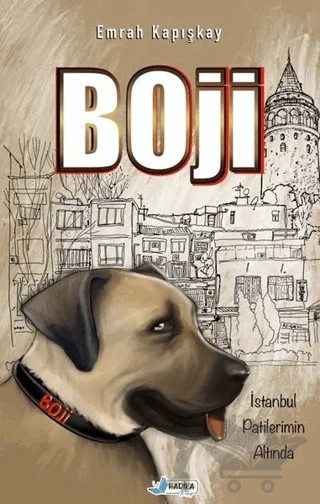 Boji – Emrah Kapışkay – Harika Kitap kitap kapağı