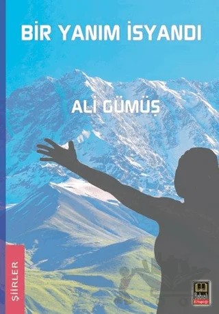 Bir Yanım İsyandı – Ali Gümüş – Babıali Kitaplığı kitap kapağı
