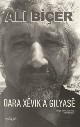 Dara Xevık A Gılyase – Ali Biçer – Nas Ajans Yayınları kitap kapağı