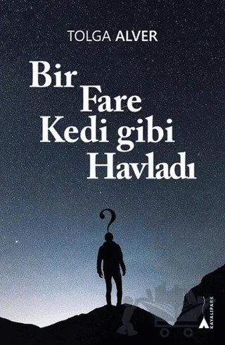 Bir Fare Kedi gibi Havladı – Tolga Alver – Kayalıpark Çocuk kitap kapağı