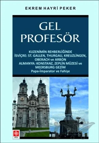 Gel Profesör – Ekrem Hayri Peker – Ekin Basım Yayın kitap kapağı