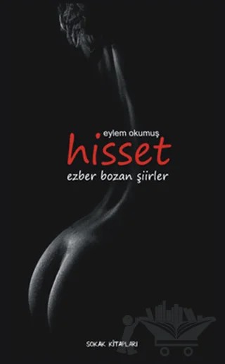 Hisset – Eylem Okumuş – Sokak Kitapları Yayınları kitap kapağı