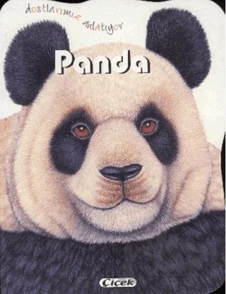 Panda – Consuelo Delgado – Çiçek Yayıncılık kitap kapağı