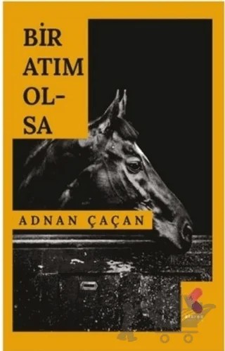 Bir Atım Olsa – Adnan Çaçan – Klaros Yayınları kitap kapağı