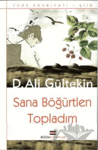 Sana Böğürtlen Topladım – D. Ali Gültekin – Bizim Kitaplar Yayınevi kitap kapağı