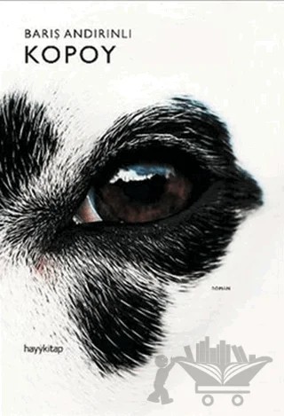 Kopoy – Barış Andırınlı – Hayykitap kitap kapağı