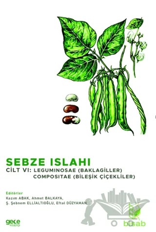 Sebze Islahı Cilt Vı – Kazım Abak, Ahmet Balkaya, Ş. Şebnem Ellialtıoğlu, Eftal Düzyaman – Gece Kitaplığı kitap kapağı