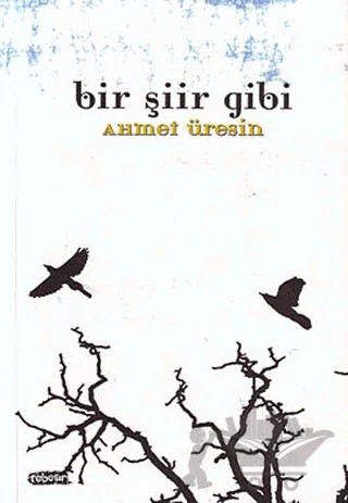 Bir Şiir Gibi – Ahmet Üresin – Tebeşir Yayınları kitap kapağı