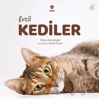 Evcil Kediler – Elnara Ahmetzade – TÜBİTAK Yayınları kitap kapağı