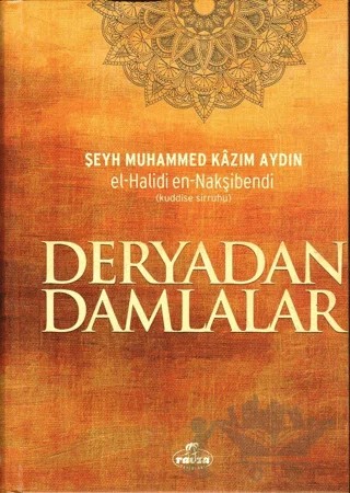 Deryadan Damlalar – Şeyh Muhammed Kazım Aydın – Ravza Yayınları kitap kapağı