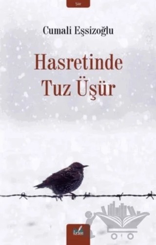 Hasretinde Tuz Üşür – Cumali Eşsizoğlu – İzan Yayıncılık kitap kapağı