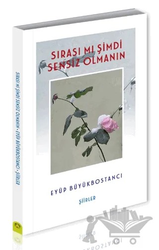Sırası Mı Şimdi Sensiz Olmanın – Eyüp Büyükbostancı – Alternatif Yayıncılık kitap kapağı