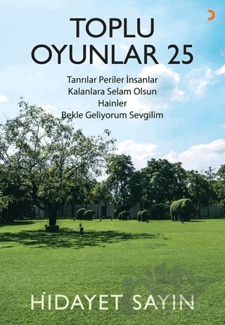 Toplu Oyunlar 25 – Hidayet Sayın – Cinius Yayınları kitap kapağı