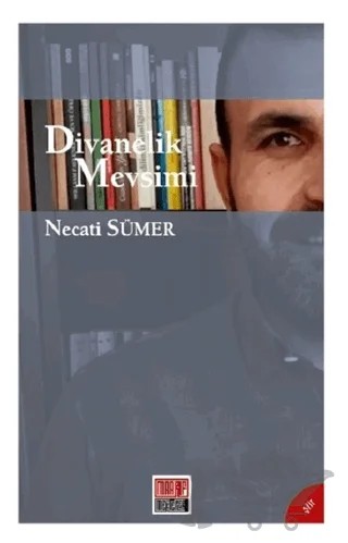 Divanelik Mevsimi – Necati Sümer – Maarif Mektepleri kitap kapağı