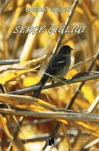 Serçe Çığlığı – Bağdat Ulusoy – Nitelik Kitap kitap kapağı