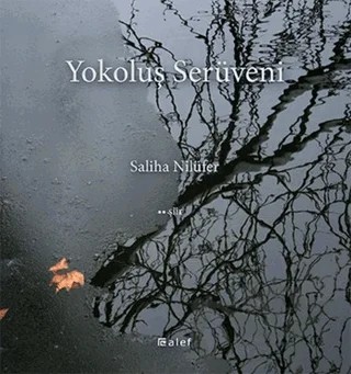 Yokoluş Serüveni – Saliha Nilüfer – Alef Yayınevi kitap kapağı