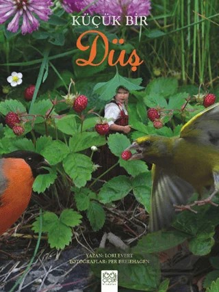 Küçük Bir Düş – Lori Evert – 1001 Çiçek Kitaplar kitap kapağı