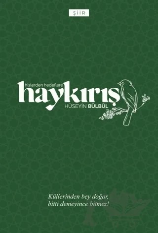 Haykırış – Hüseyin Bülbül – Simenit Yayıncılık kitap kapağı
