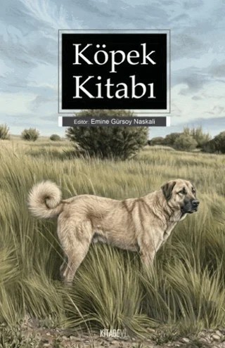 Köpek Kitabı – Emine Gürsoy Naskalı – Kitabevi Yayınları kitap kapağı