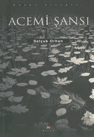 Acemi Şansı – Selçuk Orhan – Birun Kültür Sanat Yayıncılık kitap kapağı