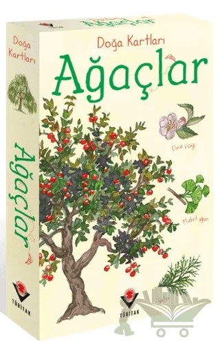 Doğa Kartları - Ağaçlar – Emily Bon – TÜBİTAK Yayınları kitap kapağı