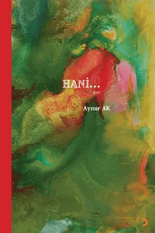 Hani – Aynur Ak – Cinius Yayınları kitap kapağı
