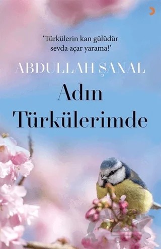 Adın Türkülerimde – Abdullah Şanal – Cinius Yayınları kitap kapağı