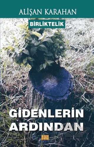 Birliktelik - Gidenlerin Ardından – Alişan Karahan – Tunç Yayıncılık kitap kapağı