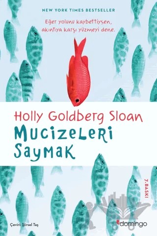 Mucizeleri Saymak – Holly Goldberg Sloan – Domingo Yayınevi kitap kapağı
