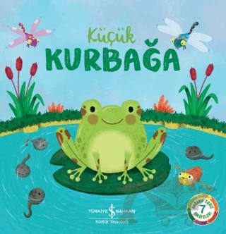 Küçük Kurbağa – Wednesday Jones, Katie Taylor – İş Bankası Kültür Yayınları kitap kapağı