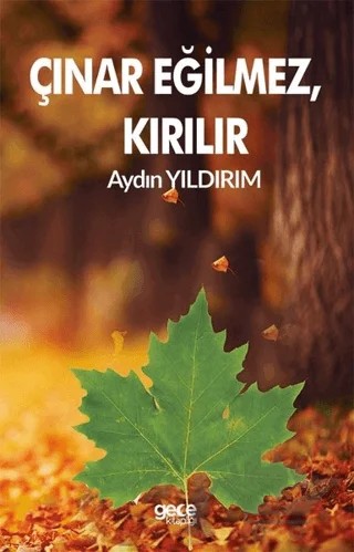 Çınar Eğilmez, Kırılır – Aydın Yıldırım – Gece Kitaplığı kitap kapağı