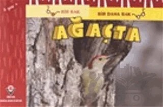 Bir Bak Bir Daha Bak - Ağaçta – David M. Schwartz, Marilyn Marks – TÜBİTAK Yayınları kitap kapağı