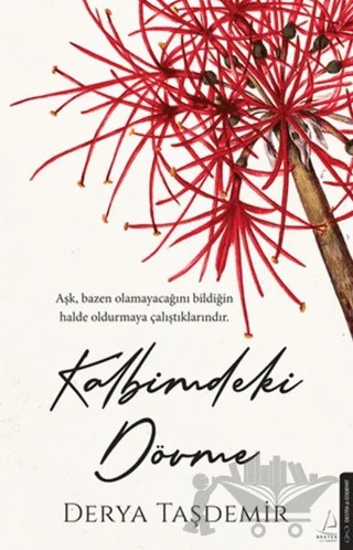 Kalbimdeki Dövme – Derya Taşdemir – Destek Yayınları kitap kapağı